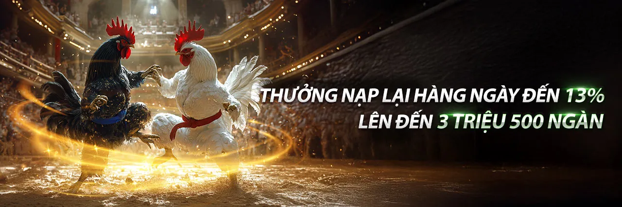 yoo88 - Nhà cái cá cược uy tín hàng đầu Châu Á
