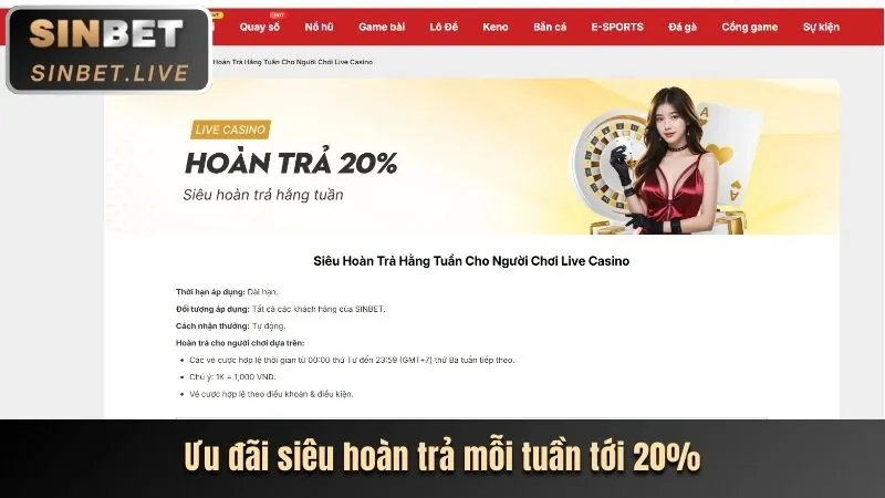 Tổng quan sơ đồ trang web yoo88